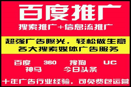 竞价广告的创意与执行：某快消品的营销突破